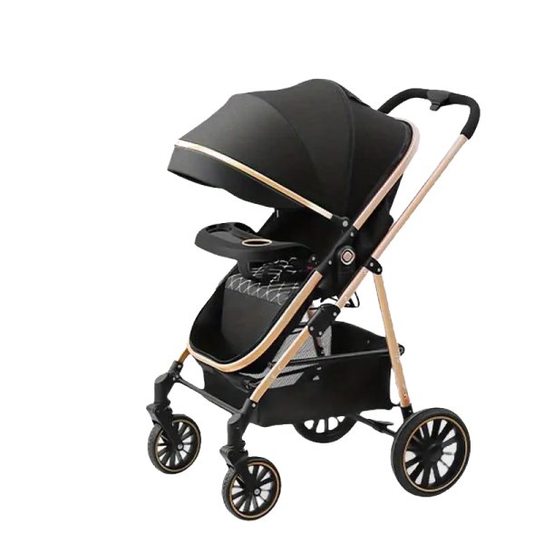 2-IN-1 CONVENTIONAL STROLLER