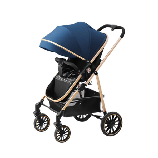 2-IN-1 CONVENTIONAL STROLLER-BLUE
