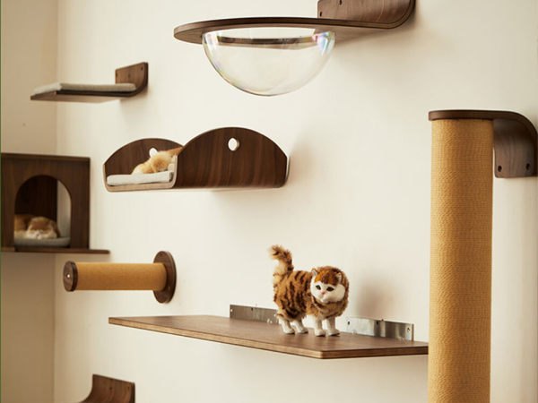 Pet Furniture & Bedding