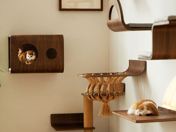 Pet Furniture & Bedding